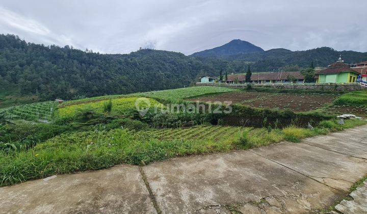 Tanah Pekarangan Siap Bangun Villa 1