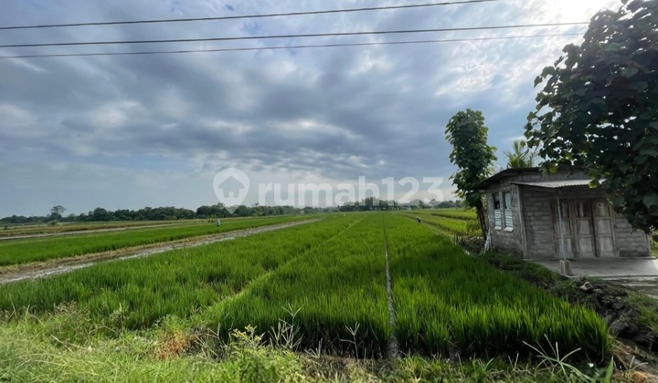 Tanah Kavling Strategis Dekat Rumah Makan Ayam Taliwang Jalan Raya Pakis Wonosari di Wonosari Klaten Tanah Kavling Strategis Dekat Rumah Makan Ayam Taliwang Jalan Raya Pakis Wonosari di Wonosari Klaten