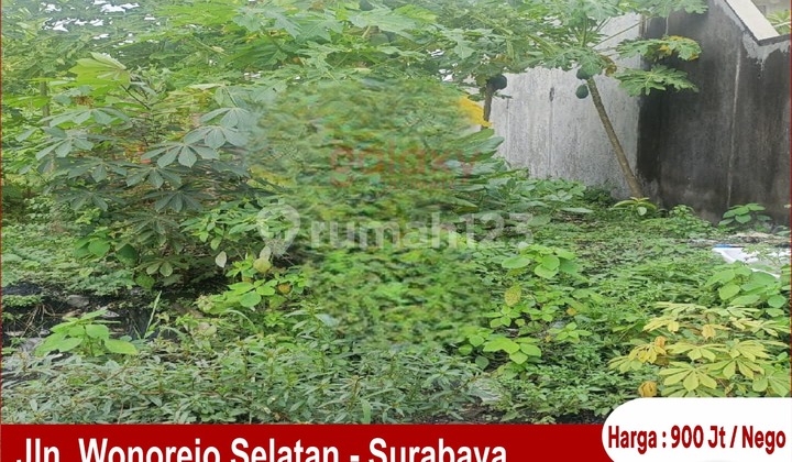 Tanah Kavling Daerah Wonorejo Selatan Surabaya