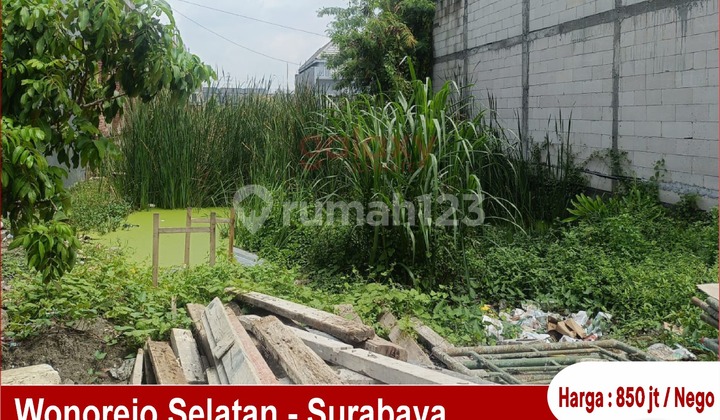 Tanah Daerah Wonorejo Selatan Surabaya