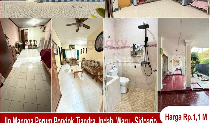 Rumah 1 Lantai di Jalan Mangga Pondok Tjandra Sidoarjo
