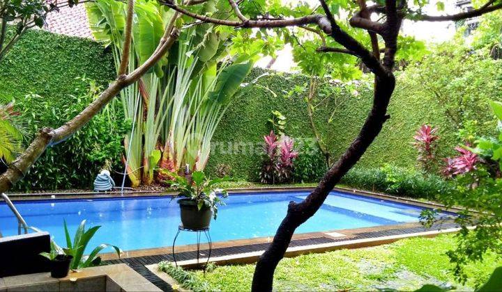 Rumah Homey di Jaksel sangat  Asri 2 Lt Privet Pool   2