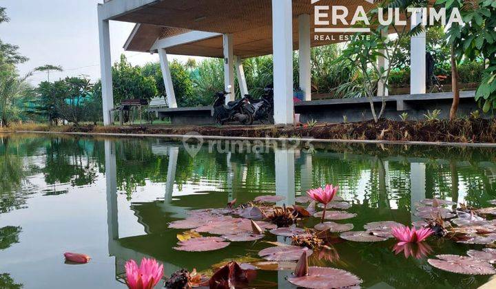 Villa Sejuk Nyaman Terawat di Banjaran, Bandung 1