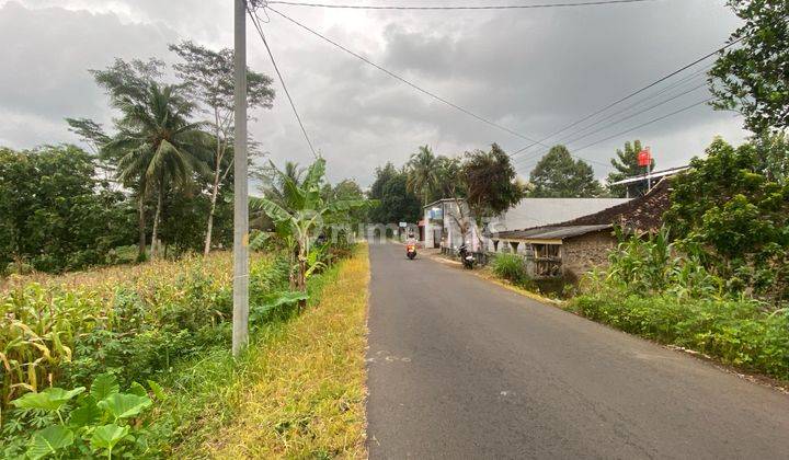 Tanah Murah Strategis Ngadirojo Dekat Pt Nesia  2