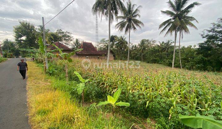 Tanah Murah Strategis Ngadirojo Dekat Pt Nesia  1