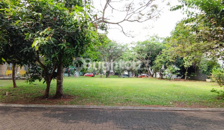 FORESTA BSD ALLEVARE PLOT FORESTA BSD ALLEVARE PLOT