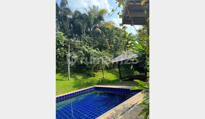 For Rent: House in the Kemang area, green and serene, 4 bedrooms, spacious garden.