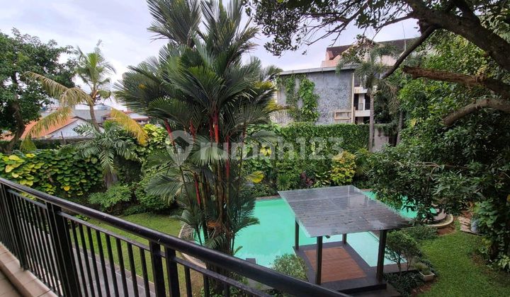 Disewakan Rumah Cantik Gaya Tropical dan Spacious 2