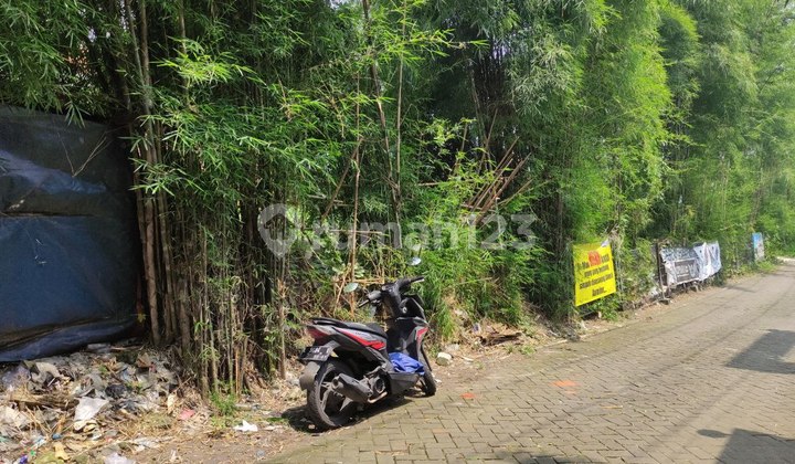 Jual Tanah Di Driyorejo Gresik