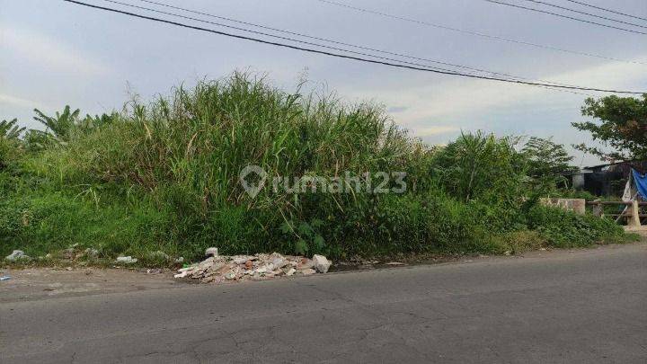 Tanah di Randegansari, Gresik SHM 600 m² 2