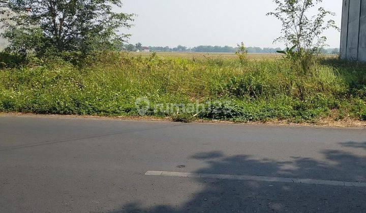 Tanah 165 m2 SHM Raya Modongan Trowulan, Mojokerto 1
