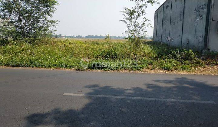 Tanah 165 m2 SHM Raya Modongan Trowulan, Mojokerto 2