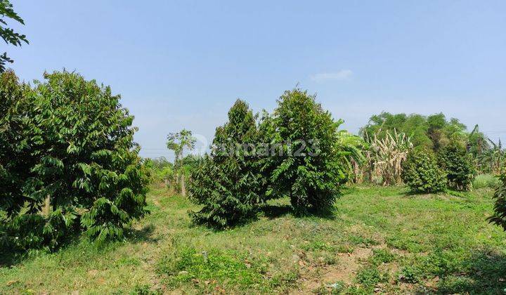 Tanah 4000 m2 SHM Raya Medali Puri, Mojokerto 2