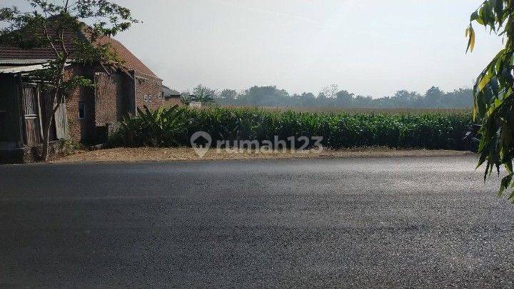 Tanah 1620 m2 SHM Raya Sambiroto Puri, Mojokerto 1