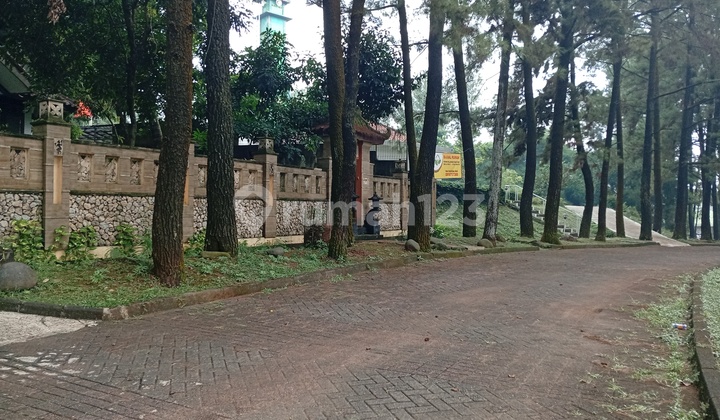 Beautiful Hook House Bilabong Permai Auction Sale 2