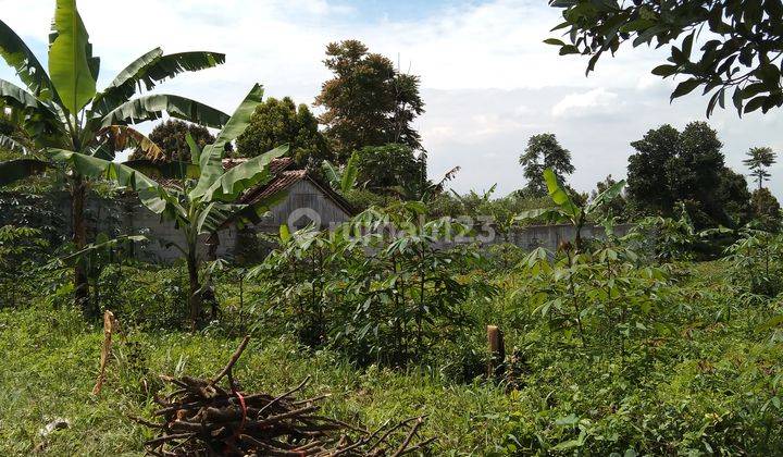 MURAH!! Tanah view kota Cimahi Cocok Untuk Perkebunan/ Peternakan 1