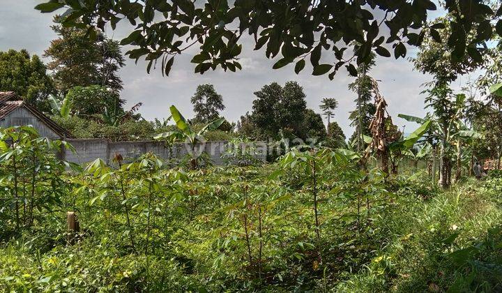 MURAH!! Tanah view kota Cimahi Cocok Untuk Perkebunan/ Peternakan 2