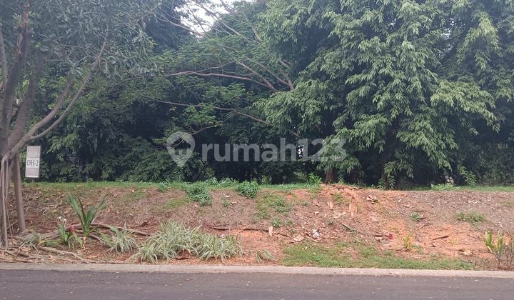 Cheap Land on Corner in Grand Orchard Cluster