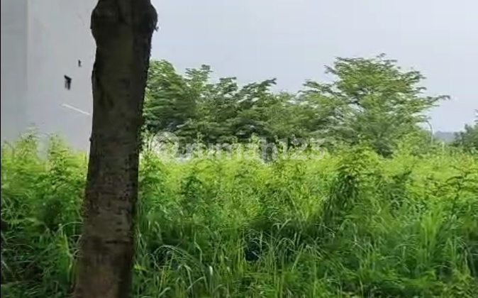 dijual murah harga di bawah NJOP kavling gandeng  di Beverly Sentul city, 