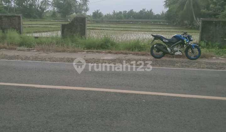 dijual cepat tanah murah  cocok untuk hotel, cottage,tempat wisata , dll di Tanjung lesung