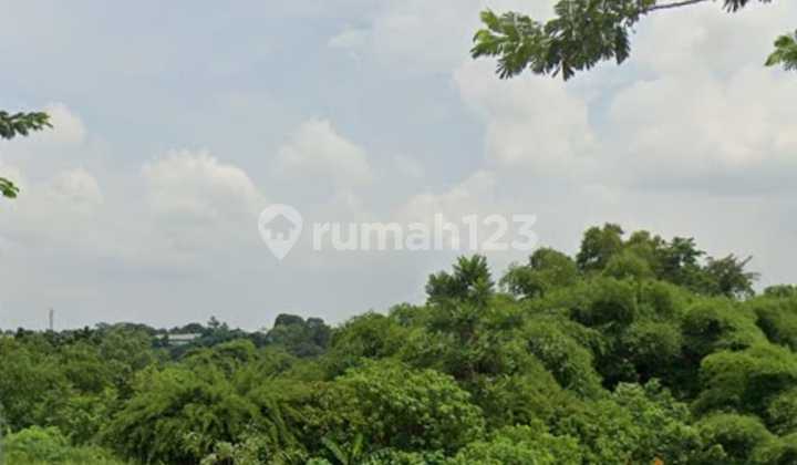 Sold cheap, price 50% of Tax Object Sale Value for a strategically located plot on Jl. Alternatif Cibubur. Sold cheap, price 50% of Tax Object Sale Value for a strategically located plot on Jl. Alternatif Cibubur.