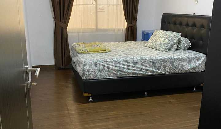 Cheap Sale Janur Elok Kelapa Gading Cheap Sale Janur Elok Kelapa Gading