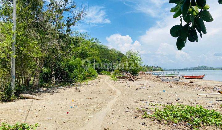 Jual Cepat Tanah Beach Front di Teluk Gok Sekotong Ntb 2