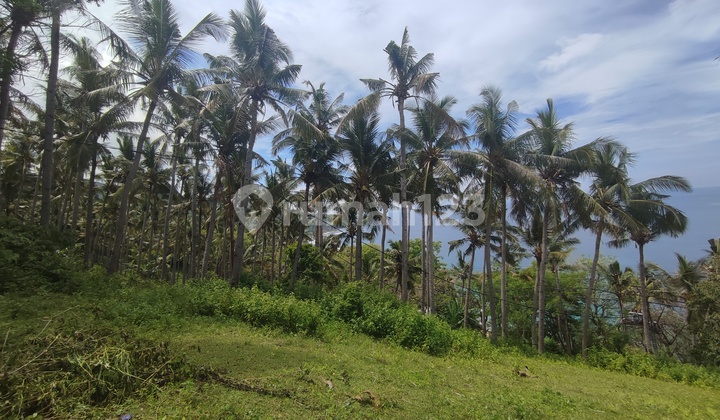Land in the Hill of Malaka Lombok With Full Sea View