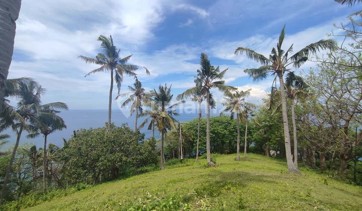 Land in the Hill of Malaka Lombok With Full Sea View