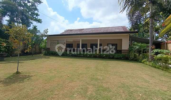 Tropical Contemporer Villa in A Small Village of West Lombok