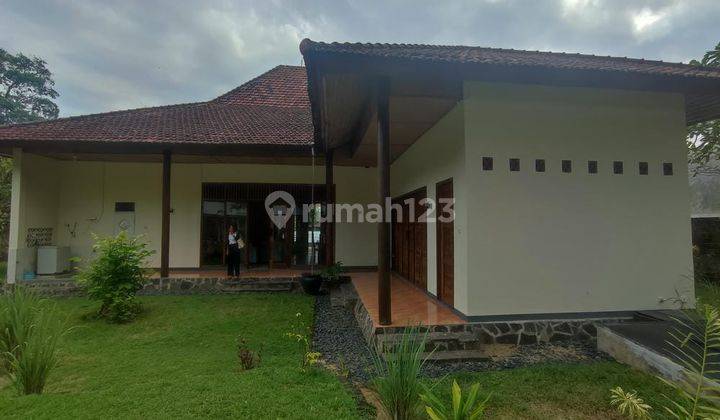 Big House in Big Land in Batulayar Lombok NTB 2