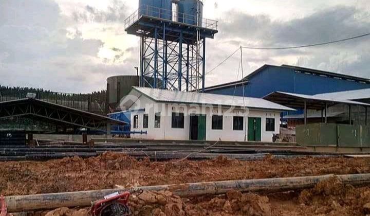 Dijual Cepat Perkebunan Sawit Di Dumai Riau 2