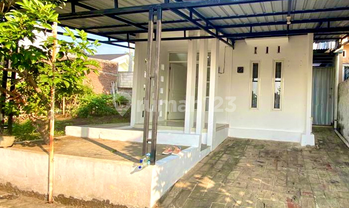 disewakan rumah dekat undip tembalang Rumah 1