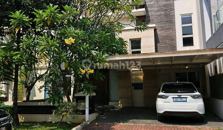 Disewakan Rumah Besar Green Mansion 1