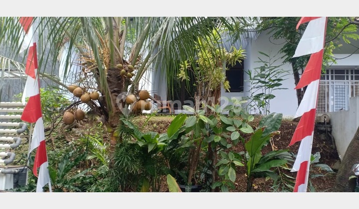 Dijual Rumah Daerah Elite Di Tengah Kota Bogor Jl Kingkilaban Villaduta  2