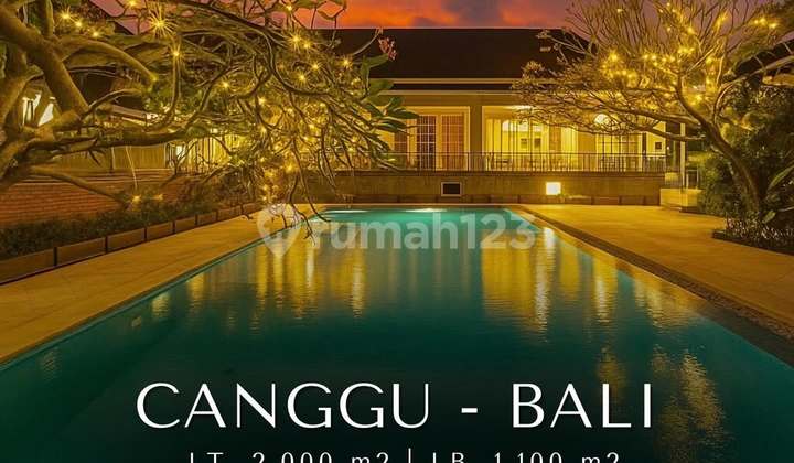 Vila di Canggu 2000.0 M² SHM