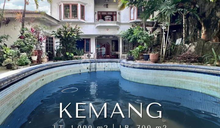 Ruang-Usaha di KEMANG , Kemang 1000 m² Semi Furnished SHM - Sertifikat Hak Milik 1