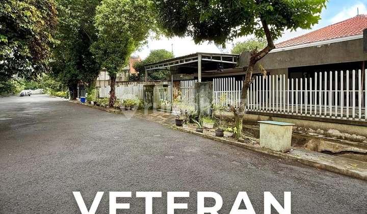 Tanah di Veteran SHM 3646.0 M²