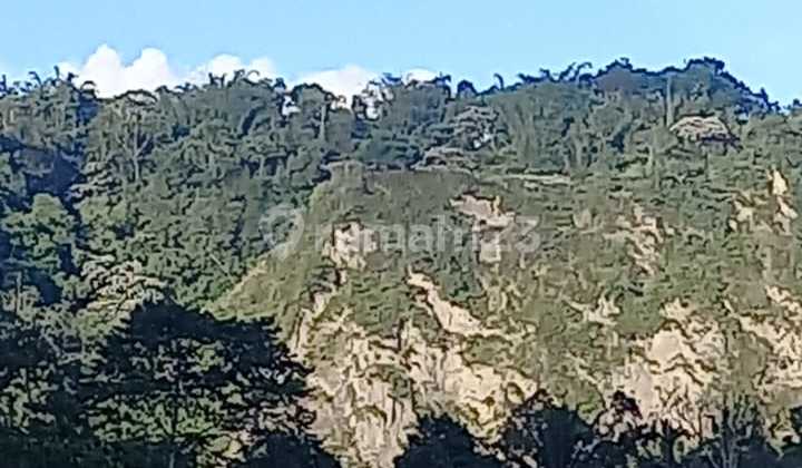 FOR SALE Rumah dan Kebun di Solok Dalam, Harau, Payakumbuh 2