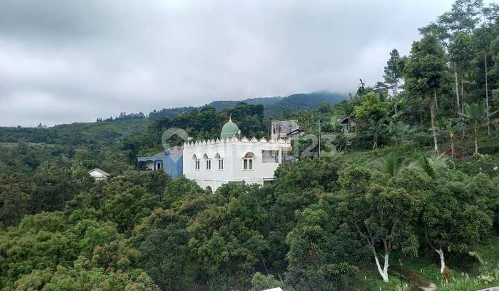 FOR SALE VILLA dan Kebun Alpukat di Cidahu Sukabumi