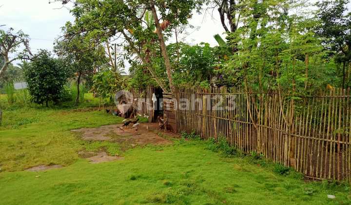 Tanah di Jl. Sintokan, Wukirsari, Cangkringan, Sleman, Sleman 1.230 m²