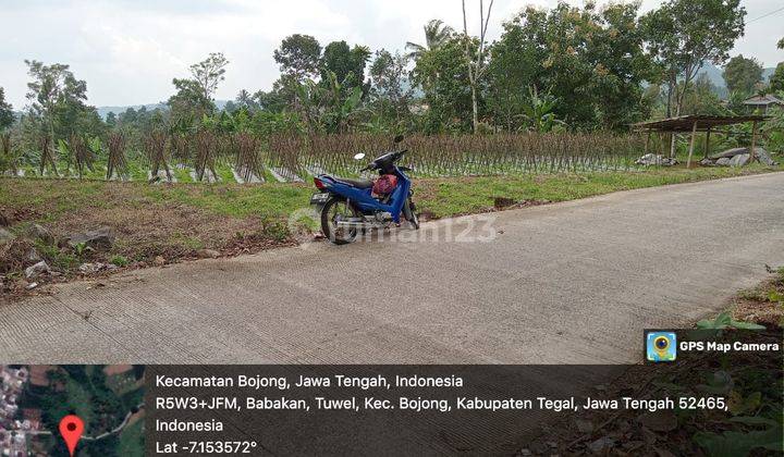 Tanah Dijual, Tuwel Kec. Bojong, Kab. Tegal (Masjid Al- Muhajirin ke Selatan 500 m) 2