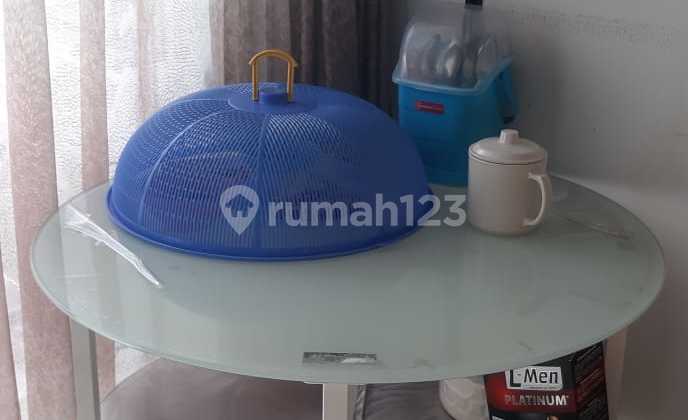 Mediterania Garden Apartment 2