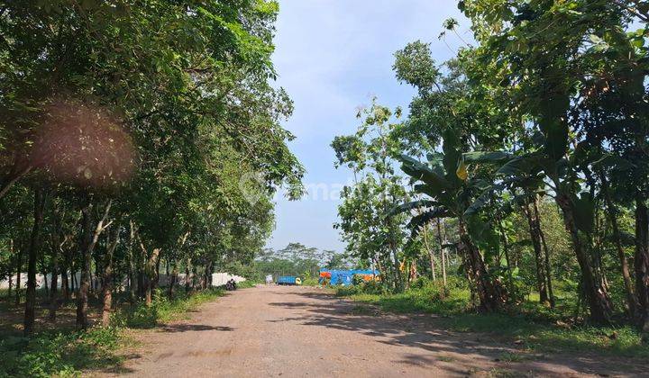 Kavling Industri Semarang 1