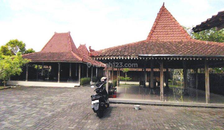 Rumah Joglo Dekat Candi Mendut, Mungkid, Magelang 1