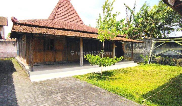 Rumah Joglo Dekat Candi Mendut, Mungkid, Magelang 2