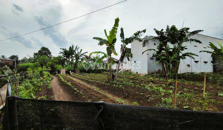 Tanah Strategis Belakang Kampus UMM, Mertoyudan ,Magelang 1