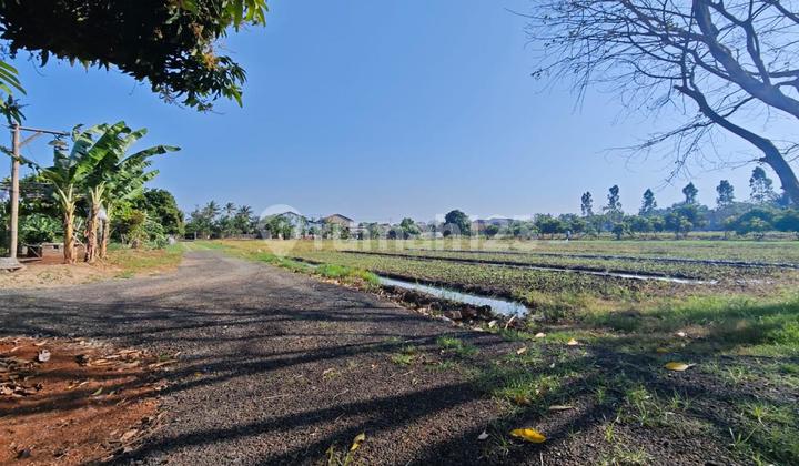 Tanah Jual Cepat Siap Bangun Dekat Pik 2 Row Jalan Lebar Shm