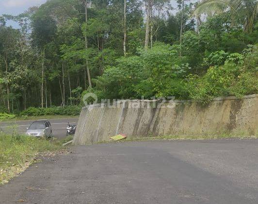 dijual tanah view tercantik dikulonprogo 5