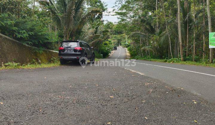 dijual tanah view tercantik dikulonprogo 4
